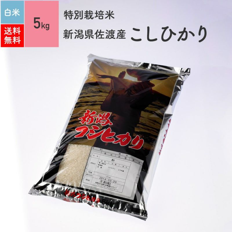 特別栽培米（農薬・化学肥料5割減）5kg】4年産 新潟県佐渡産こしひかり