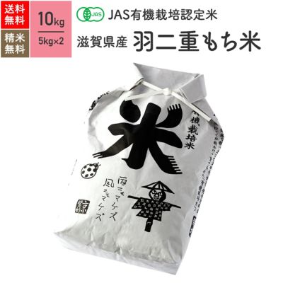 特別栽培米 京都 コシヒカリ 五つ星お米マイスター お米の卸売り