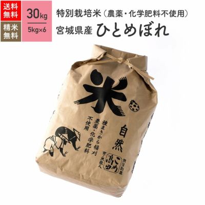 全額返金対応 おまつ様専用 お米 30kg 5kg×6袋 令和2年度 米/穀物 www